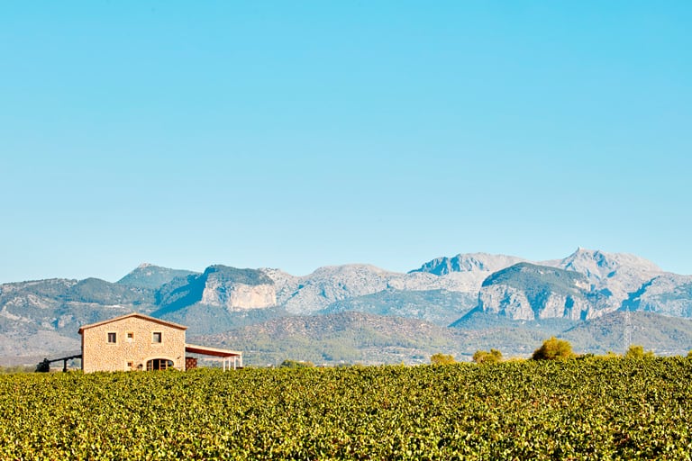Finca Son Llompart | Finca Son Llompart